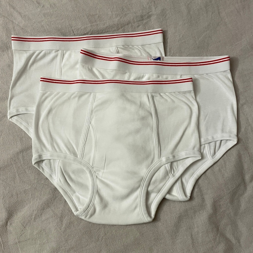 Vintage 3 Pack Tiger Briefs Mens 36-38 White Red Stripe Waistband Deadstock NEW